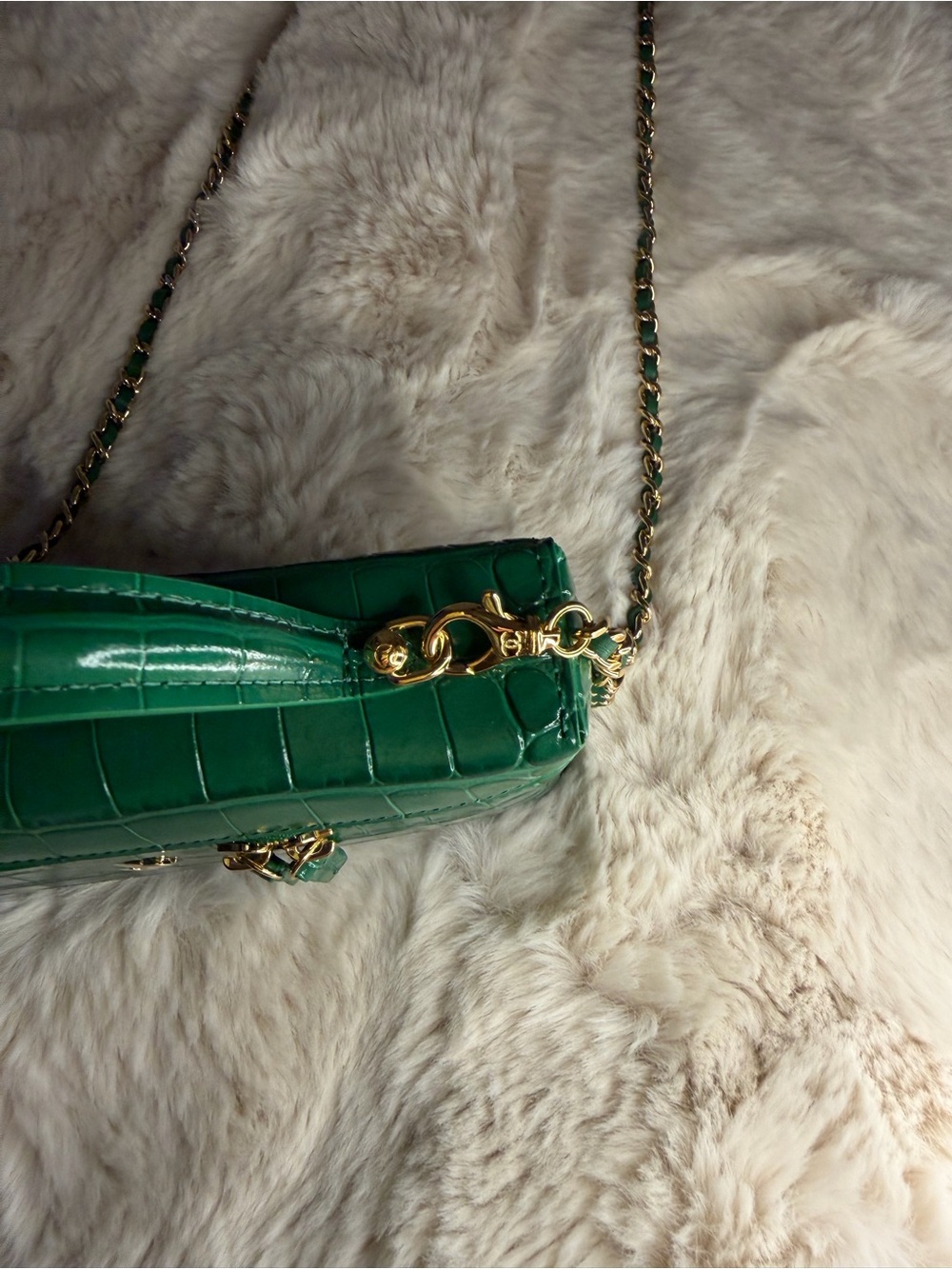 CHANEL Emerald Green Croc-Embossed Slim Vanity Bag with Gold Hardware - Picture 6 of 9